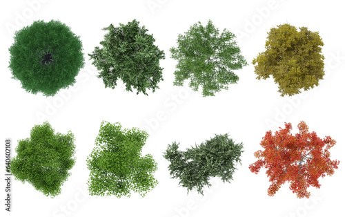 Realistic top view trees