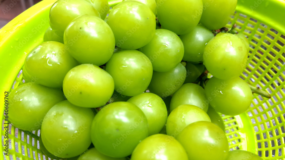 Image of fresh green muscat grapes placed in a green plastic basket Image of fresh green muscat grapes placed in a green plastic basket