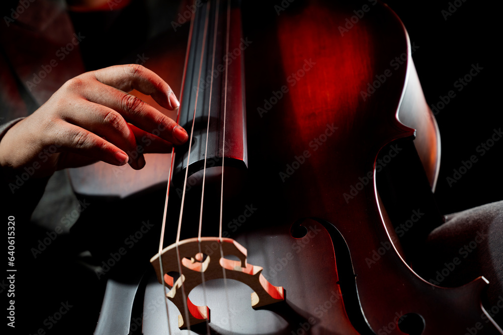 Musician playing cello Musician playing cello