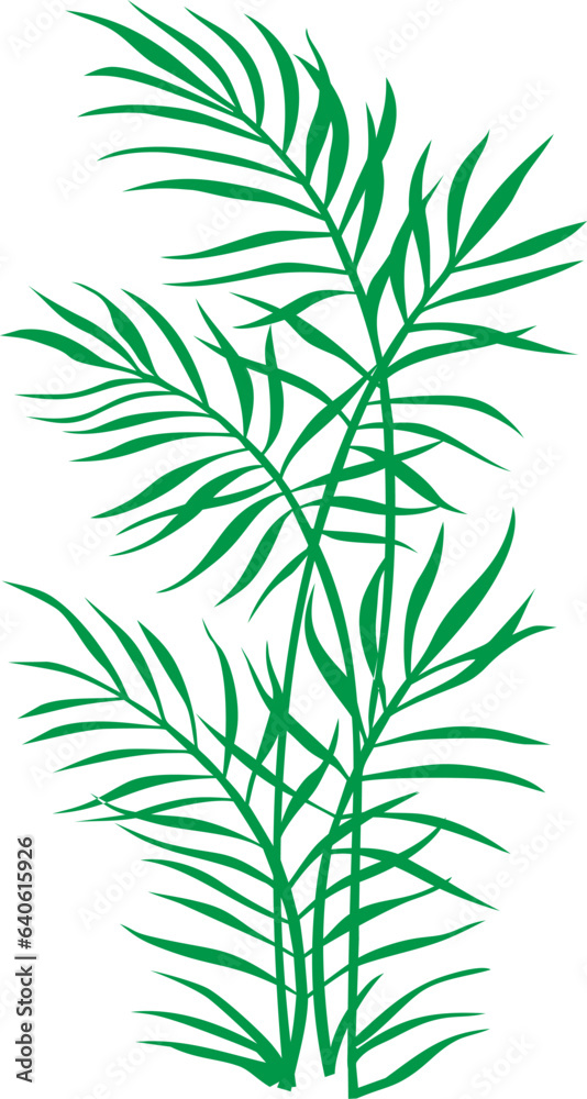 Reed, leaves vector image