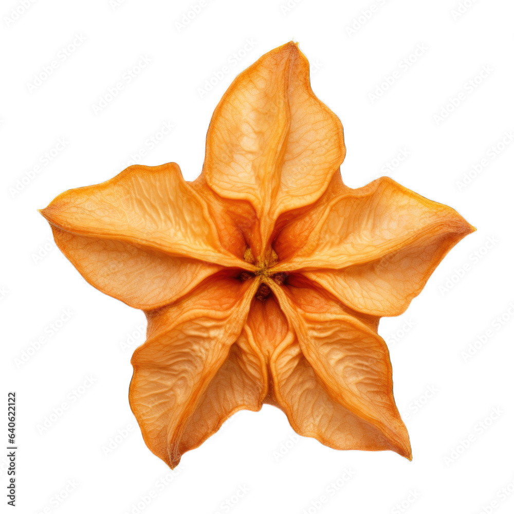 Fototapeta premium Dried Star fruit isolated on transparent background. Generative AI