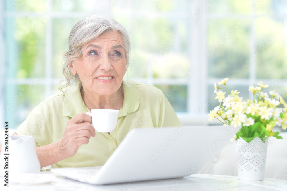 senior woman with cup using laptop at home senior woman with cup using laptop at home