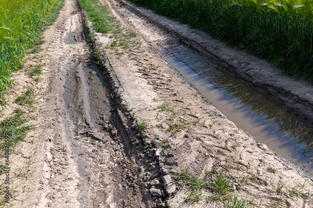 mud on a country road through a field of cereals mud on a country road through a field of cereals