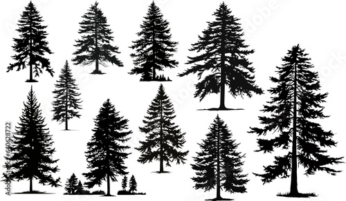 Coniferous tree isolated silhouettes set. Pine tree and fir tree flat icons. Elements for your design works. Vector illustration