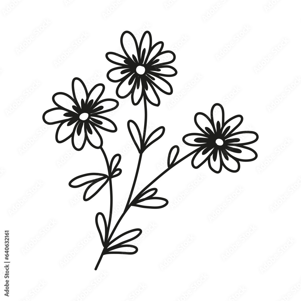 Isolated hand drawn doodle line branch with three flowers and leaves. Flat vector illustration on white background.