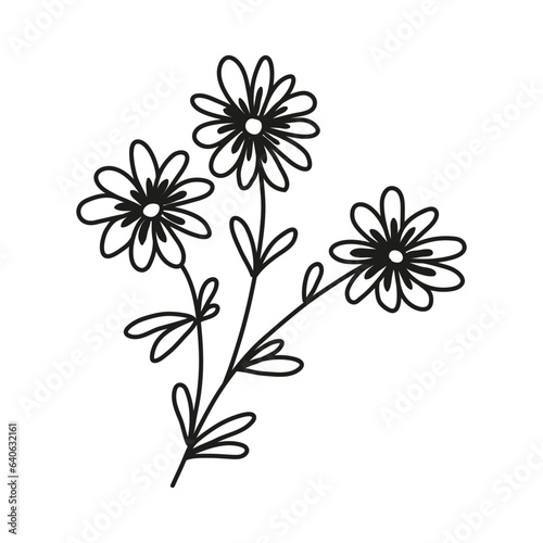 Isolated hand drawn doodle line branch with three flowers and leaves. Flat vector illustration on white background.