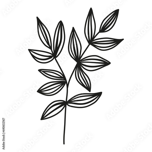 Isolated hand drawn doodle branch with striped leaves. Flat vector illustration on white background. © Katrinka8888