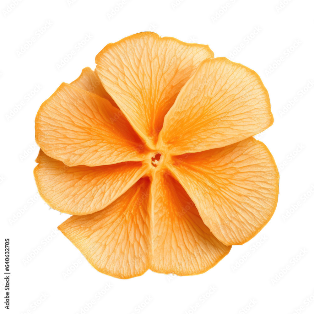 Dried Cantaloupe isolated on transparent background. Generative AI Dried Cantaloupe isolated on transparent background. Generative AI
