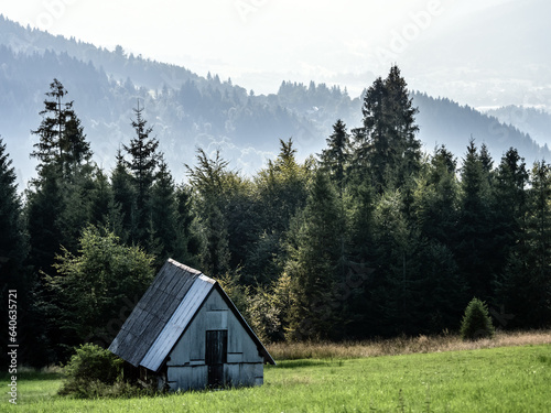 Fototapeta Naklejka Na Ścianę i Meble -  Chalet on Hala Boracza against Beskid Zywiecki Mountains Poland