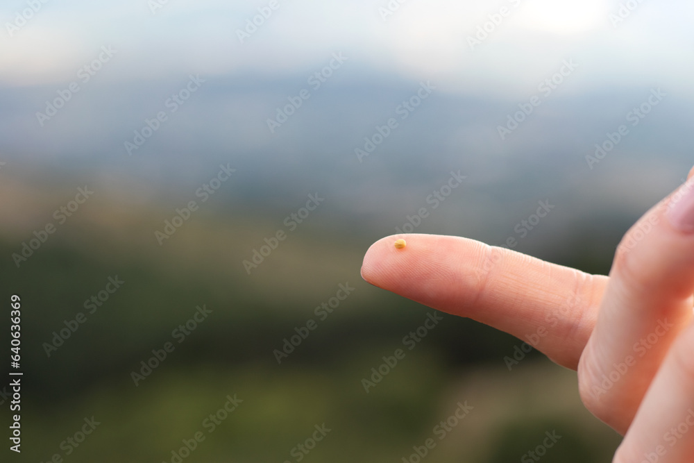 Close up of woman holding mustard seed in finger in front of a mountain. Faith parable, trust and belief in God and Jesus Christ, Christian growth, biblical concept. Copy space. Close up of woman holding mustard seed in finger in front of a mountain. Faith parable, trust and belief in God and Jesus Christ, Christian growth, biblical concept. Copy space.