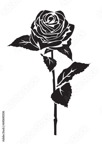 Rose Illustration