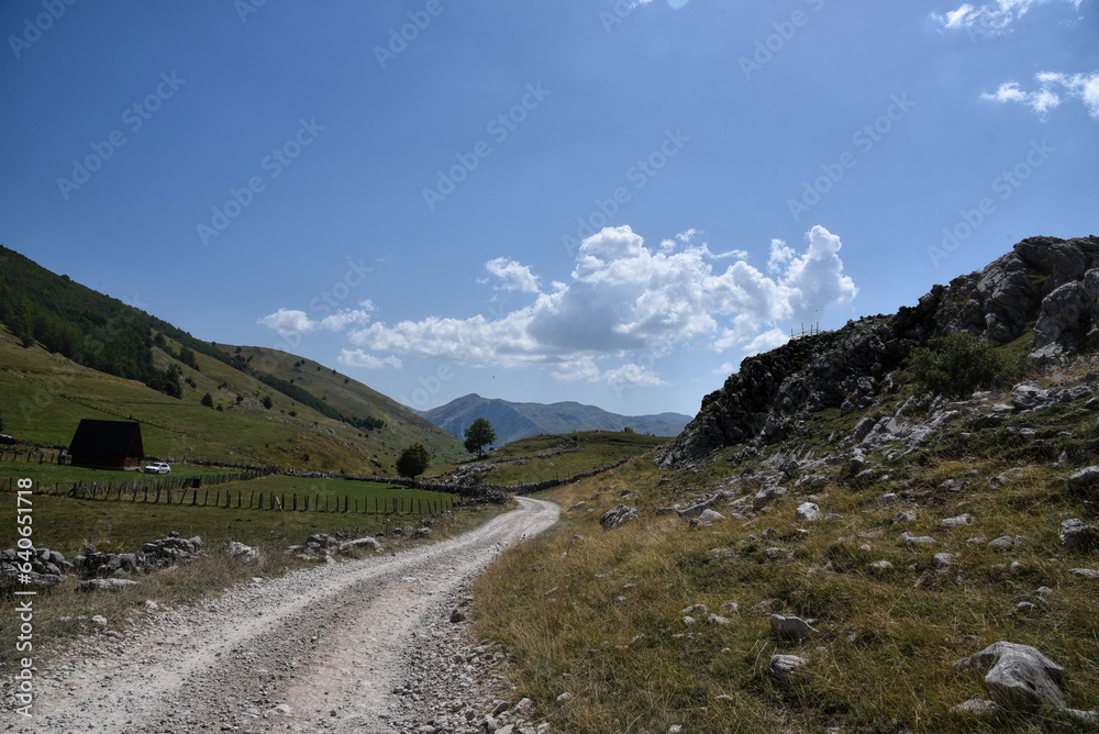 Landscape photography of mountain view in summer season with rural road