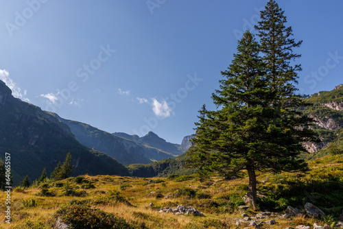 Mettmenalp, Berge und Wandern Schweiz photo