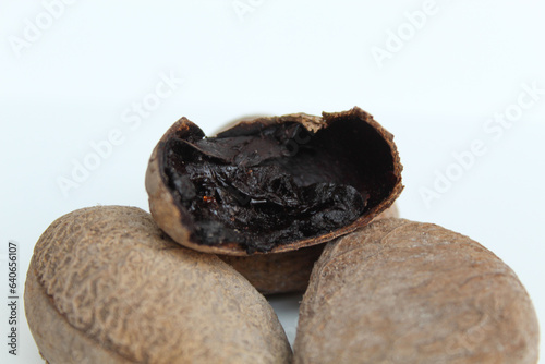 Inner part of dried seed of Pangium edule, spices in Indonesian cooking to make food become darker or black. Isolated on white background. photo