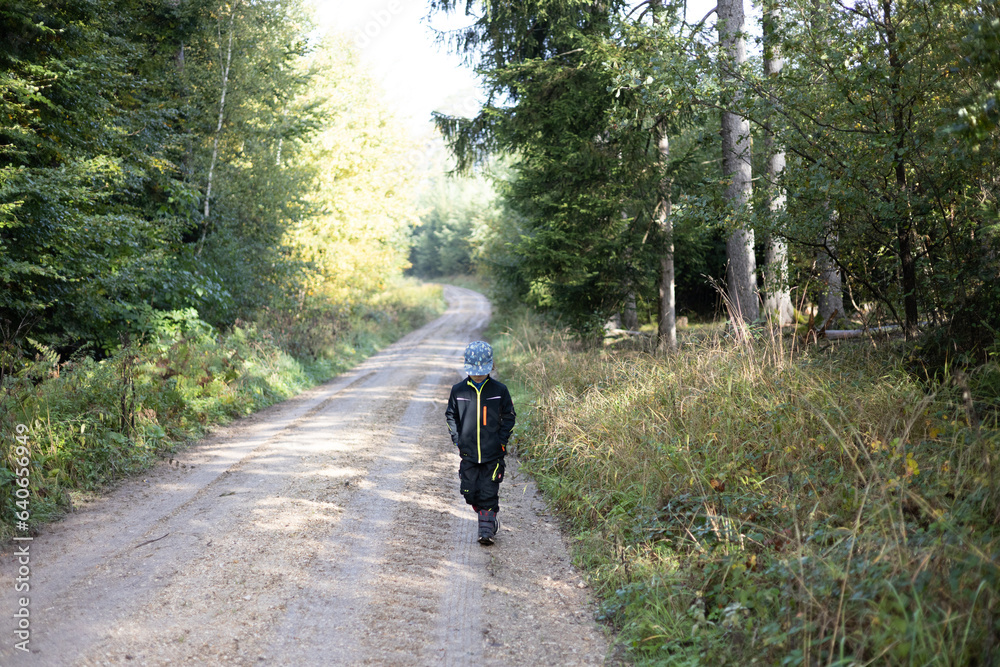 mushroom hunt in october in bavarian forest: a young boy is walking in the forest