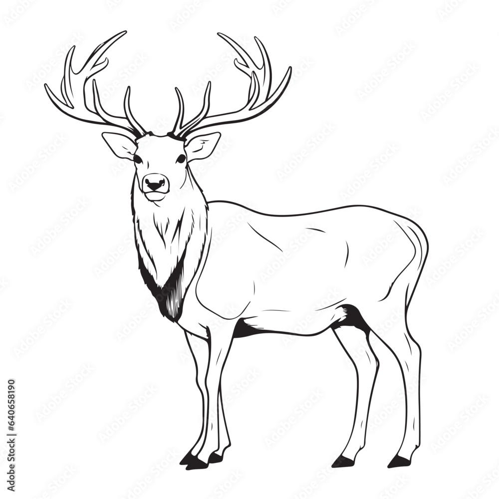 an elk that sits on a white background, in the style of black and white drawings an elk that sits on a white background, in the style of black and white drawings