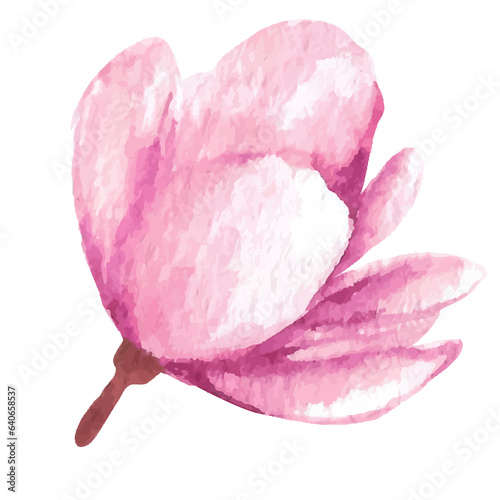 Fototapeta Naklejka Na Ścianę i Meble -  Watercolor Flower Illustration