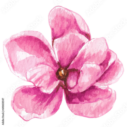 Fototapeta Naklejka Na Ścianę i Meble -  Watercolor Flower Illustration