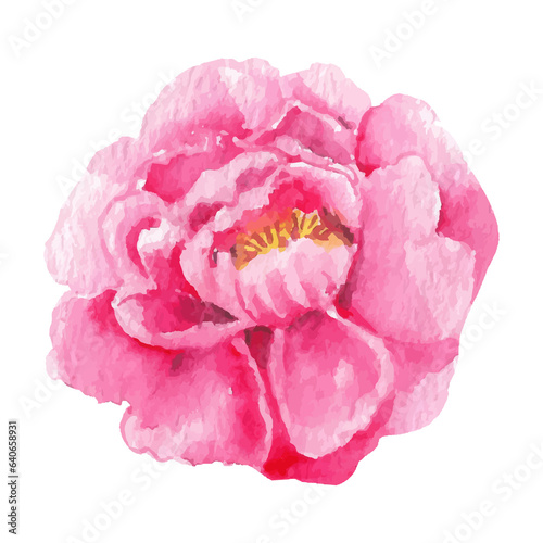 Fototapeta Naklejka Na Ścianę i Meble -  Watercolor Flower Illustration