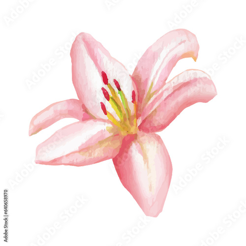 Fototapeta Naklejka Na Ścianę i Meble -  Watercolor Flower Illustration