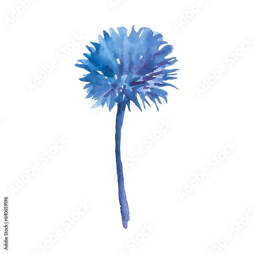 Fototapeta Naklejka Na Ścianę i Meble -  Watercolor Flower Illustration