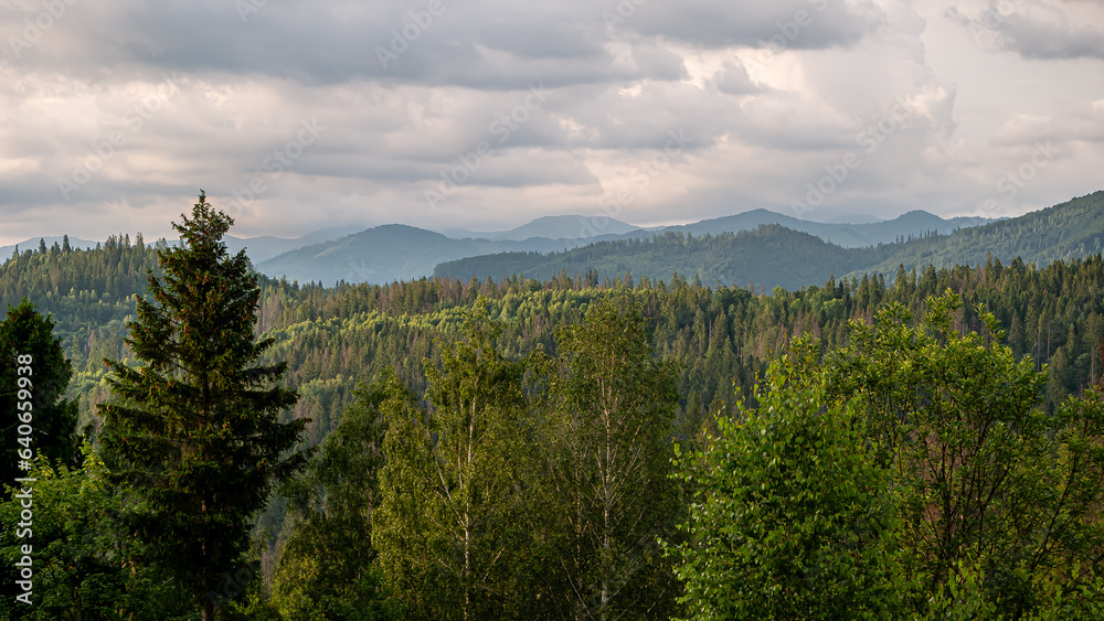 landscape with trees and clouds landscape with trees and clouds