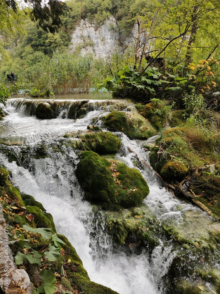 Fototapeta premium waterfall in the forest