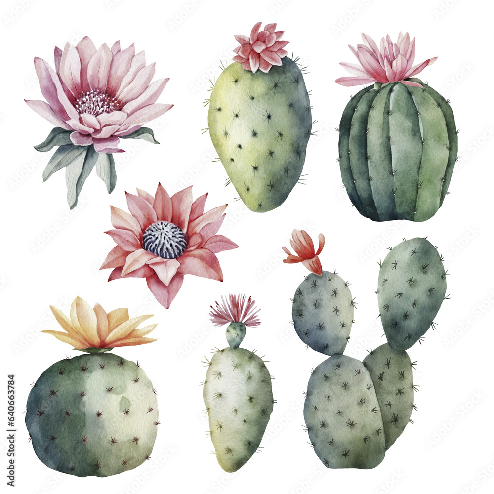 Set of green cacti with flower buds, watercolor illustration Set of green cacti with flower buds, watercolor illustration