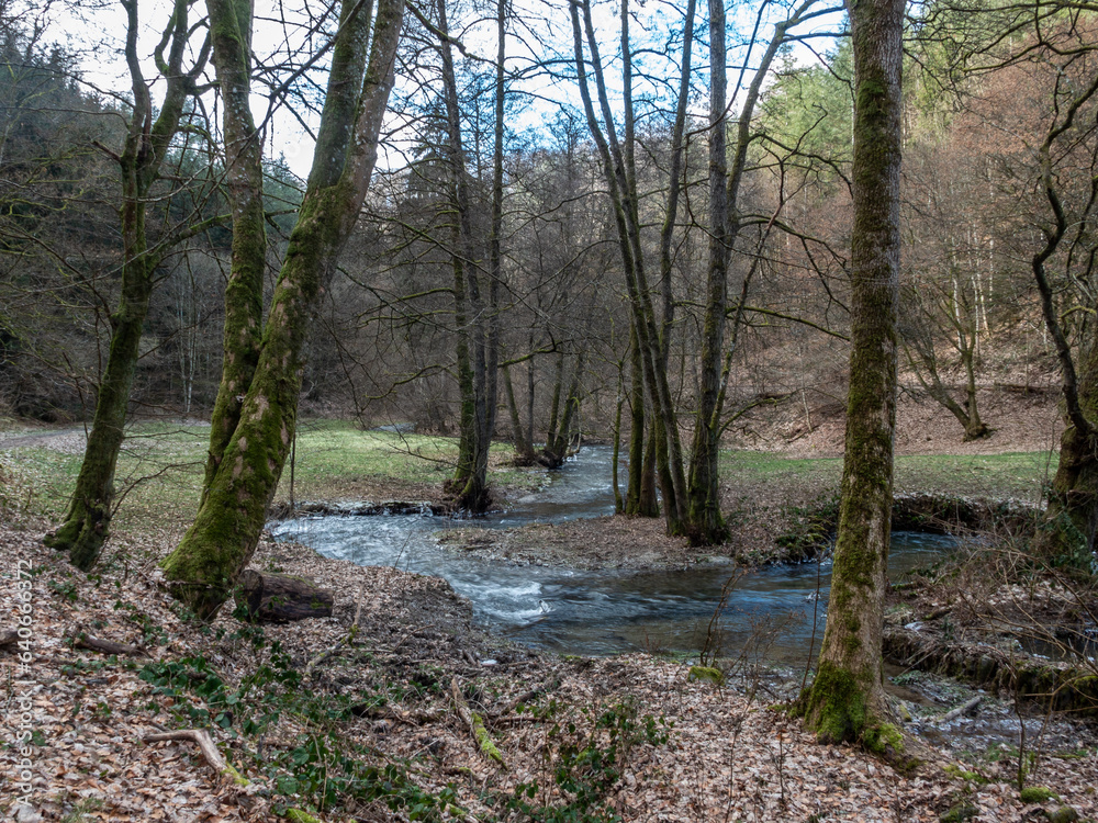 A landscape in late fall with a little creek that wiggles around some trees and a meadow and forest in the background A landscape in late fall with a little creek that wiggles around some trees and a meadow and forest in the background
