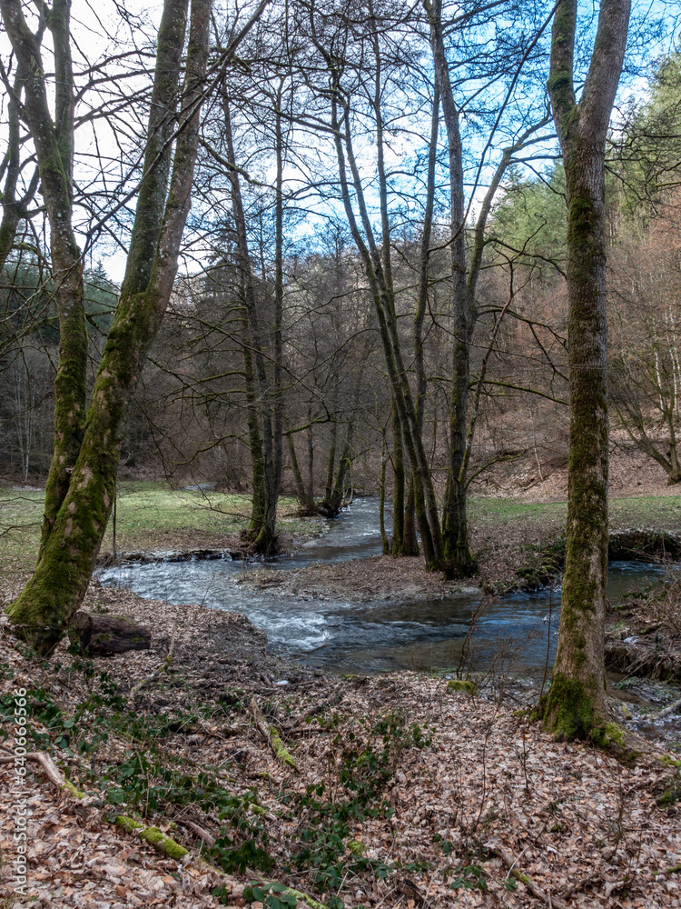 A landscape in late fall with a little creek that wiggles around some trees and a meadow and forest in the background A landscape in late fall with a little creek that wiggles around some trees and a meadow and forest in the background