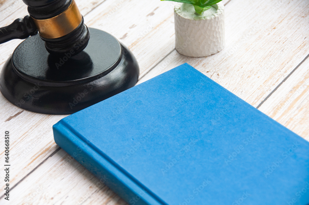 Blank red cover book with gavel and plant table background.