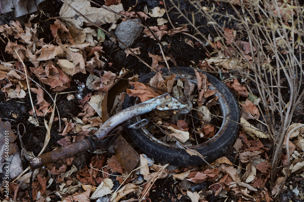 a broken cycle in a landfill garden a broken cycle in a landfill garden