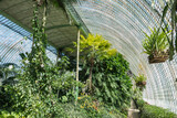 Fata-Morgana greenhouse in the Lednicko-Valtické area in Moravia, tropical plants