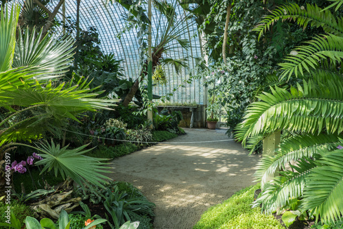 Fata-Morgana greenhouse in the Lednicko-Valtické area in Moravia, tropical plants photo