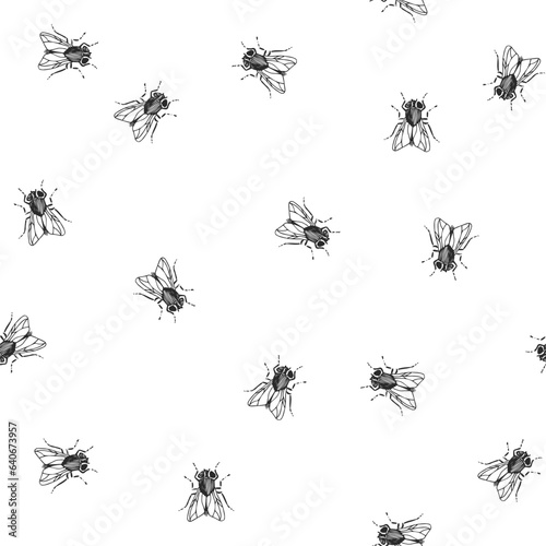 Vector seamless pattern with flies isolated on white. Endless texture with hand-drawn insect. © mashikomo