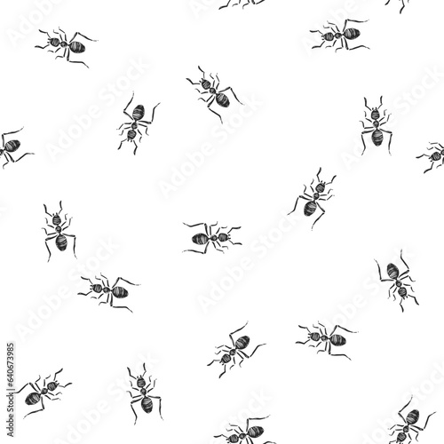 Vector hand-drawn seamless pattern with ants isolated on white. Endless texture with insects in sketch style. © mashikomo