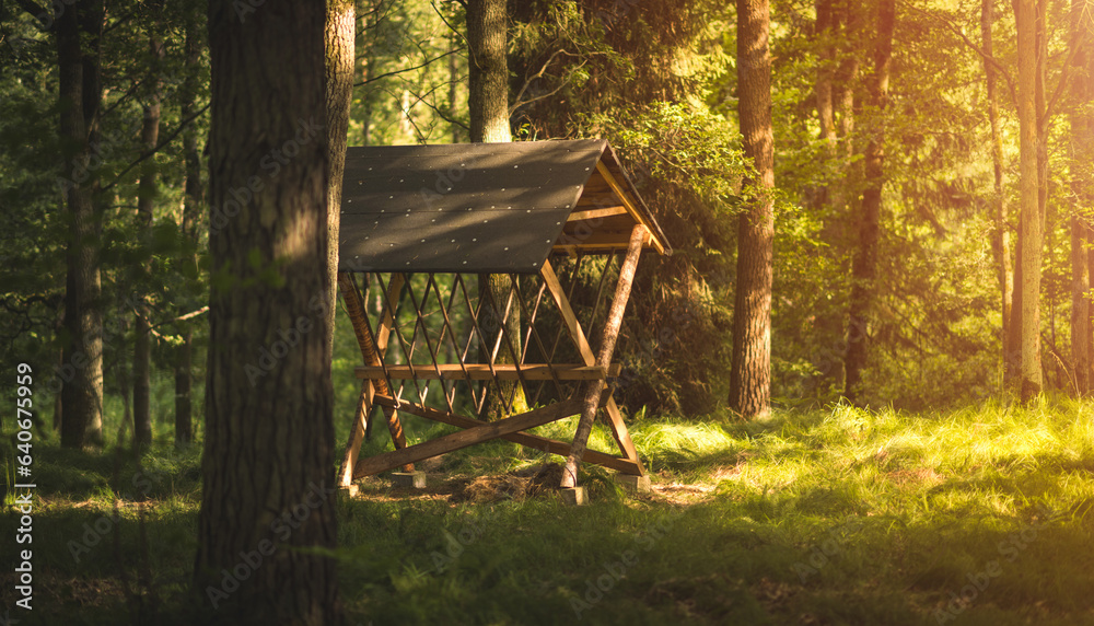 Wooden pasture for roe deer and red deer in the forest. Sunset. Hunter theme. Wooden pasture for roe deer and red deer in the forest. Sunset. Hunter theme.