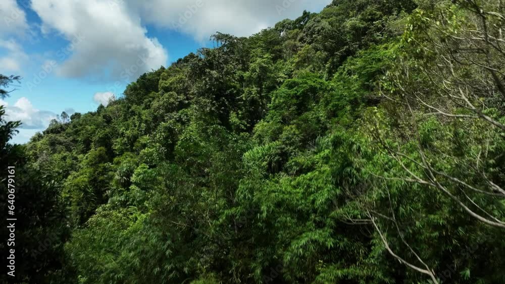 Aerial view Drone camera rainforest trees on high mountains, Ecology with healthy environment concept and summer background Aerial view Drone camera rainforest trees on high mountains, Ecology with healthy environment concept and summer background