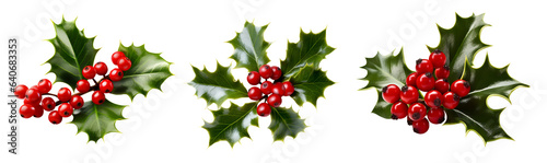 Christmas sprig holly leaves and berries on transparent background cutout. PNG file. Many assorted different design. Mockup template for artwork design photo