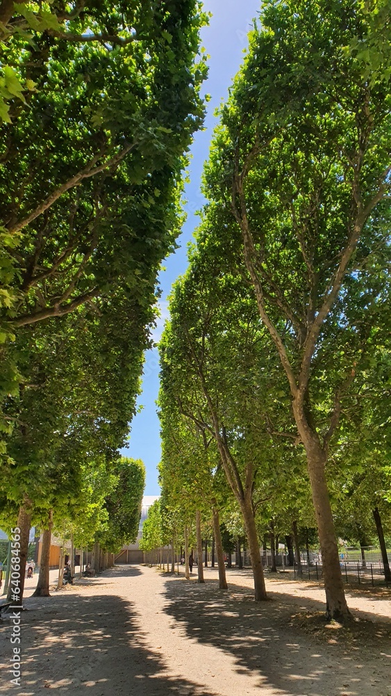 Obraz premium France Paris