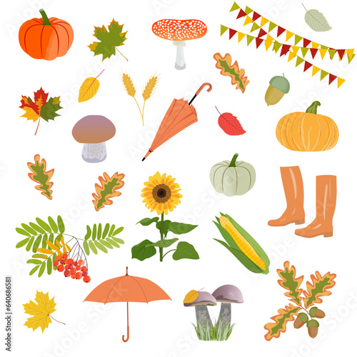 Set of autumn icons on a transparent and white background. Autumn season. Collection of cartoon vector elements for design decoration for harvest festival and thanksgiving day. Flat hand drawn style.