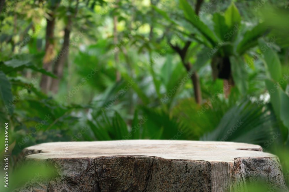 Wood tabletop podium floor in outdoors blurred green leaf tropical forest nature landscape background.cosmetic natural product mock up placement pedestal stand display,jungle paradise concept. Wood tabletop podium floor in outdoors blurred green leaf tropical forest nature landscape background.cosmetic natural product mock up placement pedestal stand display,jungle paradise concept.