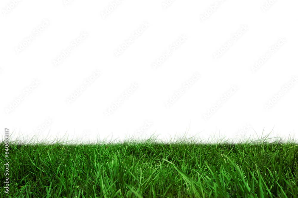 Digital png illustration of green grass on transparent background Digital png illustration of green grass on transparent background