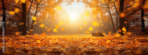 Autumn background with leaves on a sunny day