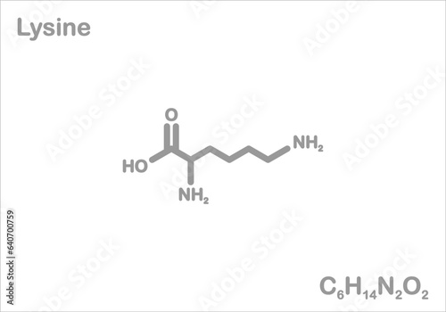 Lysine. Simplified structural formula.  photo