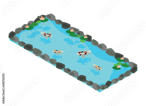Rectangular isometric pond with carps and water lilies in Japanese style.Vector illustration isolated on white background.
