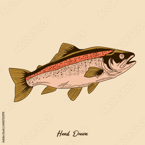 Trout Fish in vintage Handrawing style Vector illustration