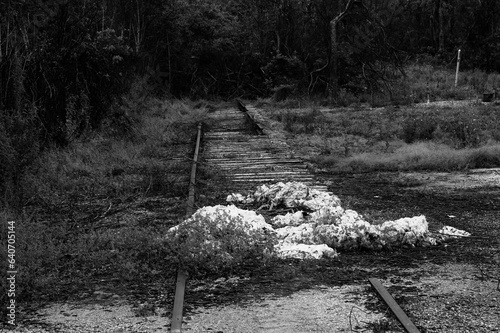 DDB_ValentinePaperAbandonedTracks