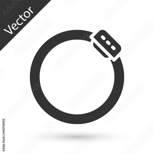 Grey Bicycle brake disc icon isolated on white background. Vector