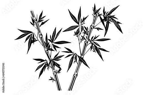 Hand drawn ink sketch of bamboo leaves and branches. Vector illustration.